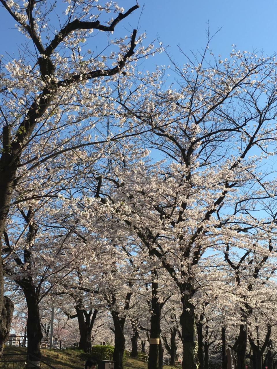 Ryokan Nakadaya Tokyo Eksteriør bilde